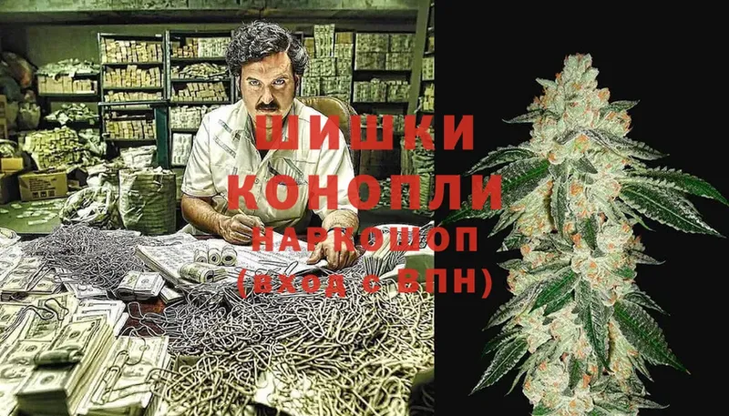 Бошки Шишки THC 21%  купить наркоту  Новоалтайск 